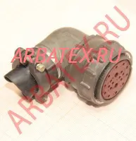 2РМД36КУЭ20Г6В1 розетка фото