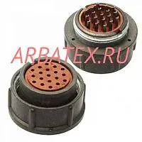 2РМТ24К19Г1В1В розетка фото