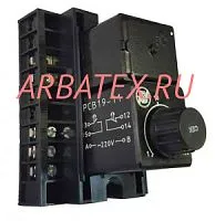 РСВ19-11 3-300 сек 24В